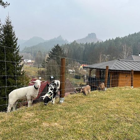 Natur Resort Jetrichovice Eksteriør bilde