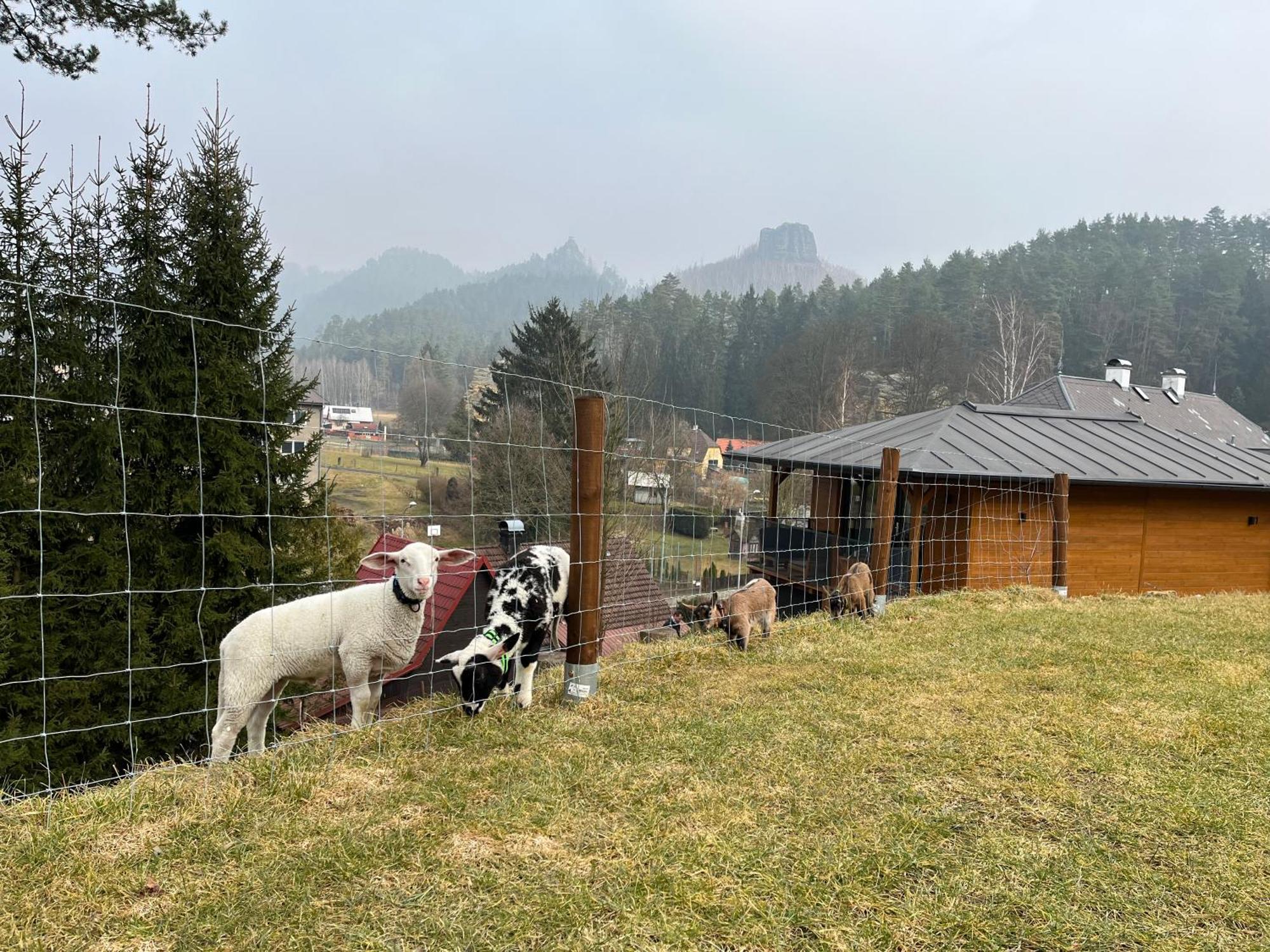 Natur Resort Jetrichovice Eksteriør bilde